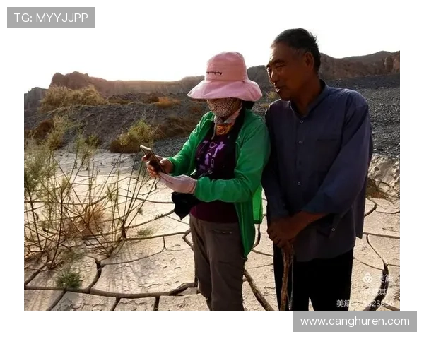 聚焦新农夫奋斗故事的温情乡村电影成长历程动人全景篇章 聚焦新农夫奋斗故事的温情乡村电影成长历程动人全景篇章