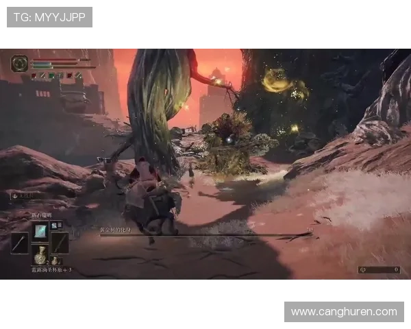 惊魂夺命森林:一场让你心跳骤停的探险之旅 惊魂夺命森林:一场让你心跳骤停的探险之旅