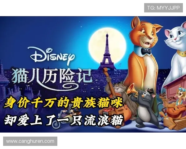 淘猫历险记：当一只小猫咪开启了它的奇幻漂流