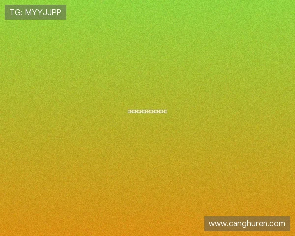 法外请：当规则之外，遇见别样风景